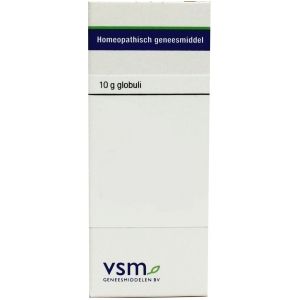 VSM AURUM METALLICUM D30 - 10GR