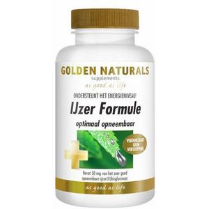 GOLDEN NATURALS VERMOEID BENEN 60VCP