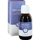 RP OLIGO RIBES NIGRUM 120ML