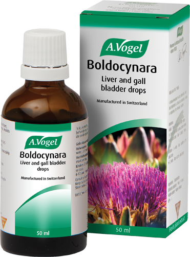 VOGEL BOLDOCYNARA 50ML