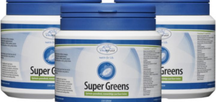 VITAKRUID SUPER GREENS 220GR