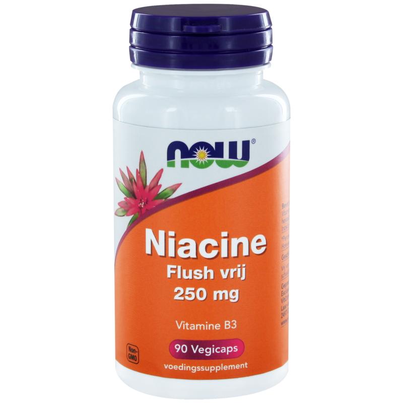 NOW FLUSH-FREE NIACIN 250MG 90ST