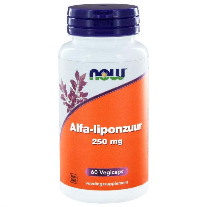 NOW ALFALIPONZUUR 250MG 60ST