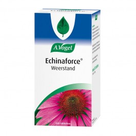 VOGEL ECHINAFORCE 350TB