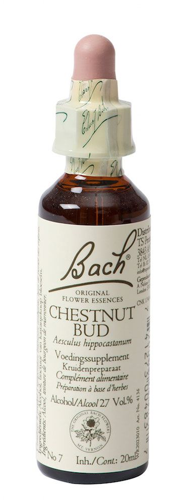 BACH CHESTNUT BUD KASTANJEK 07 20ML