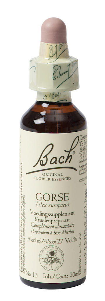 BACH GORSE GASPELDOORN 13 20ML