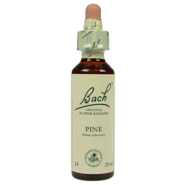 BACH PINE PIJNBOOM 24 20ML