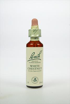 BACH WHITE CHESTN PAARDEKAST35 20ML