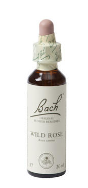 BACH WILD ROSE HONDSROOS 37 20ML