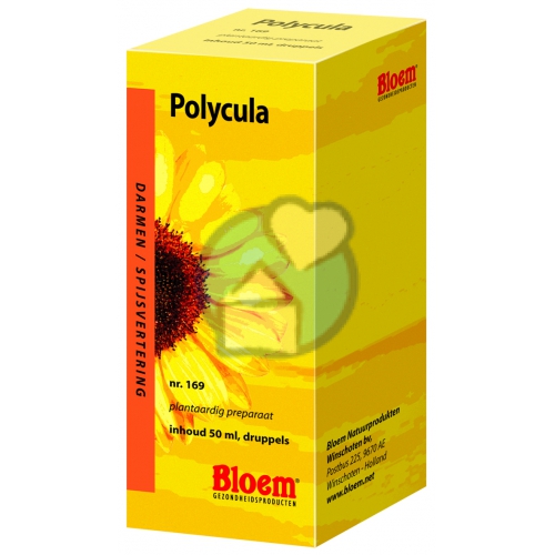 BLOEM POLYCULA 169 50ML