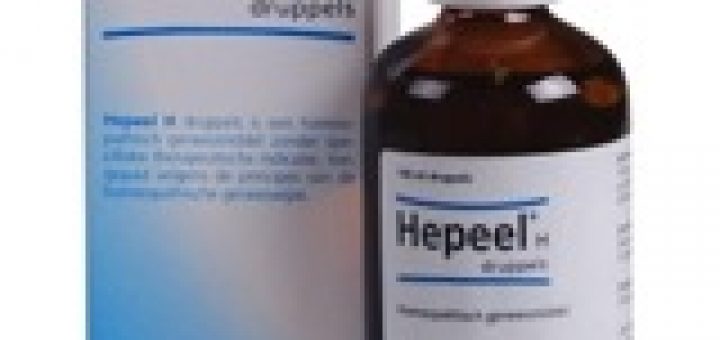 HEEL HEPEEL H 100ML