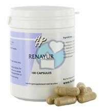 AYURVEDA HOLISAN RENAYUR 100CP