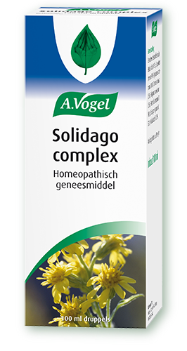 VOGEL SOLIDAGO COMPLEX 60ST