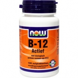 NOW B-12 ACTIEF 100TB