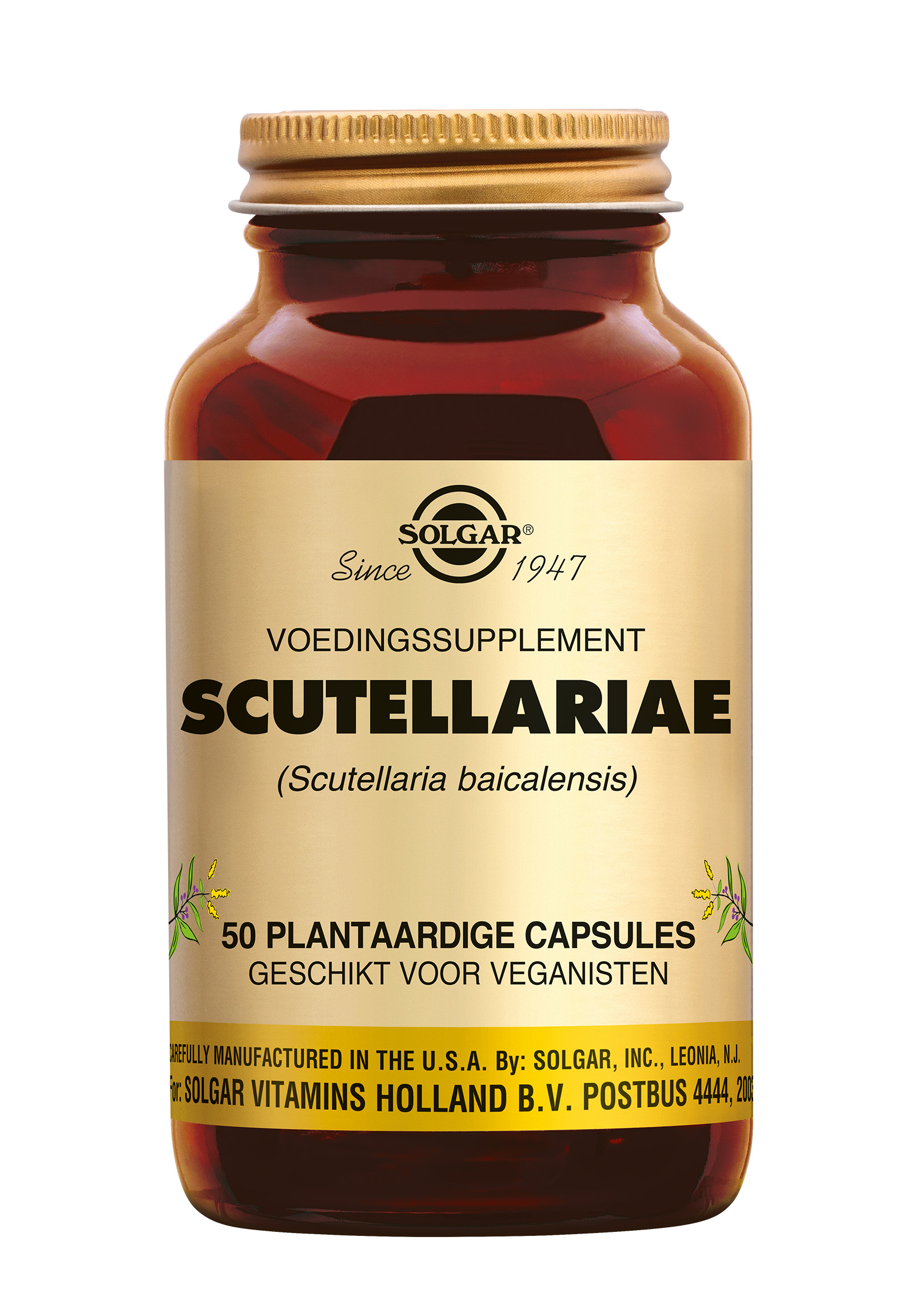 Solgar Scutellariae (50 stuks)