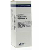 VSM RHODODENDRON CHRYSAN D6 * 20ML