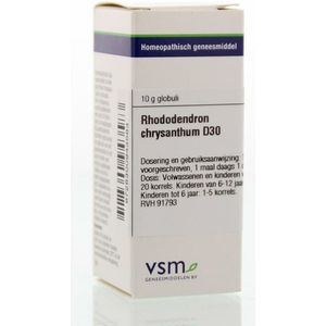 VSM RHODODENDRON CHRYSAN D30 * 10GR