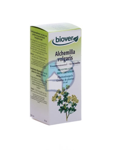 CRUYD ALCHEMILLA HERB 50ML