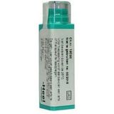 LYCOPODIUM CLAVATUM 200K HEEL 4G