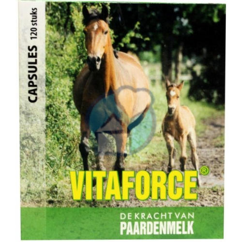 VITAFORCE PAARDENMELK 120CP