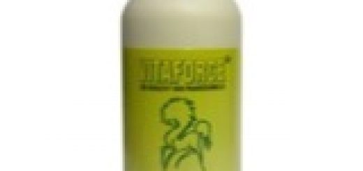 VITAFORCE HUIDBALSEM 200ML