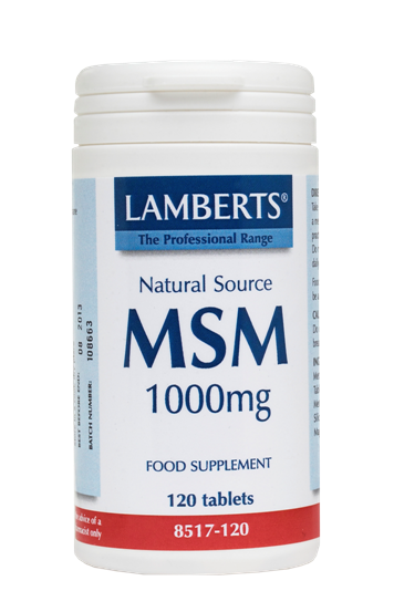 LAMBERTS MSM 1000MG 120TB