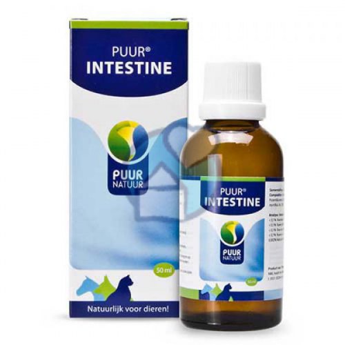 DIER PUUR INTESTINE 50ML