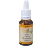 BACH LP VOGELMELK NR29 BIO 20ML