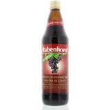 RABENHORST ZW BESSENNEKTAR BIO 750ML