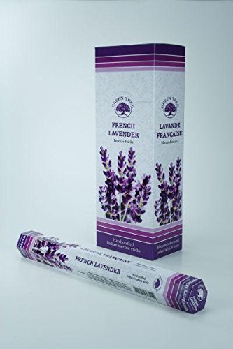 GREENTREE WIEROOK FR LAVENDER 20ST