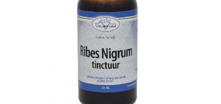 VITAKRUID RIBES NIGRUM TINCT 50ML