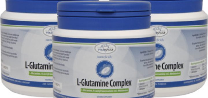 VITAKRUID L GLUTAMINE COMPL 230GR