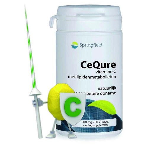 SPRING CEQURE 500MG VIT C 60CP