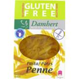 DAMHERT GV PASTA PENNE 250GR