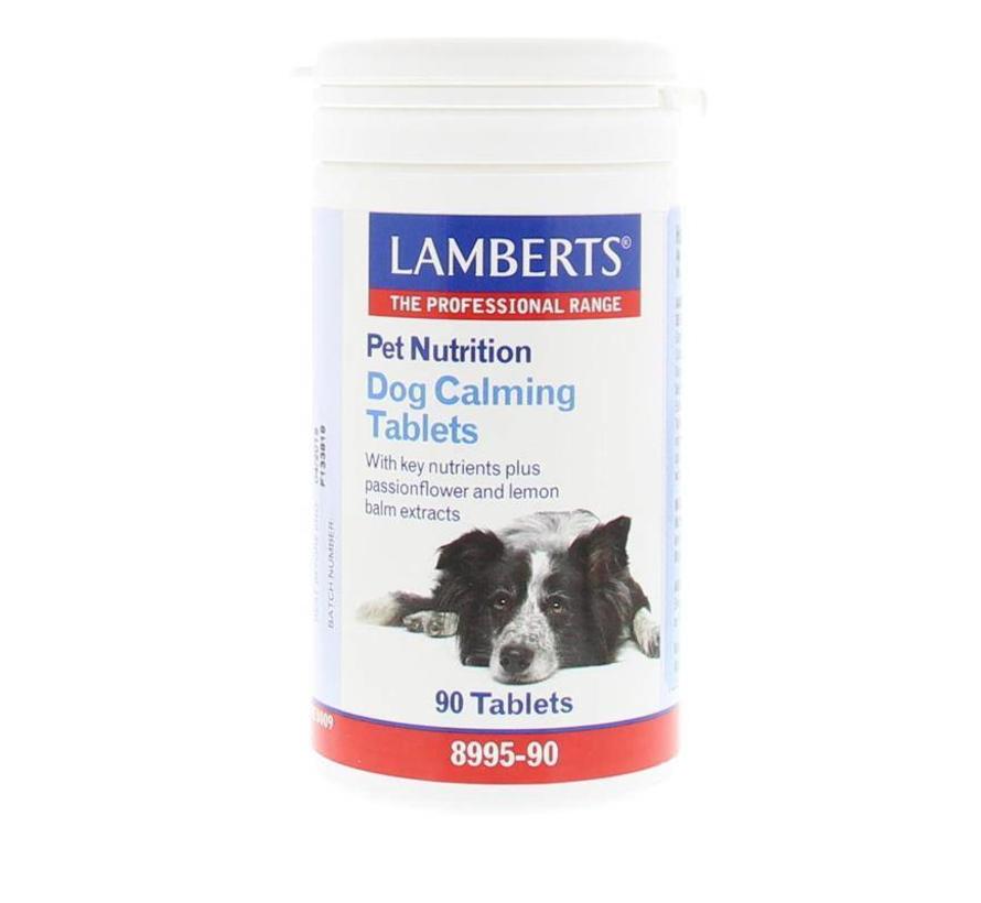 DIER H LAMBERTS HOND 90TB