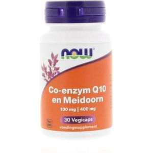 LUCOVITAAL RODE GIST RIJST Q10 90TB